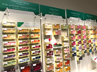 フロールエバー展示会見学